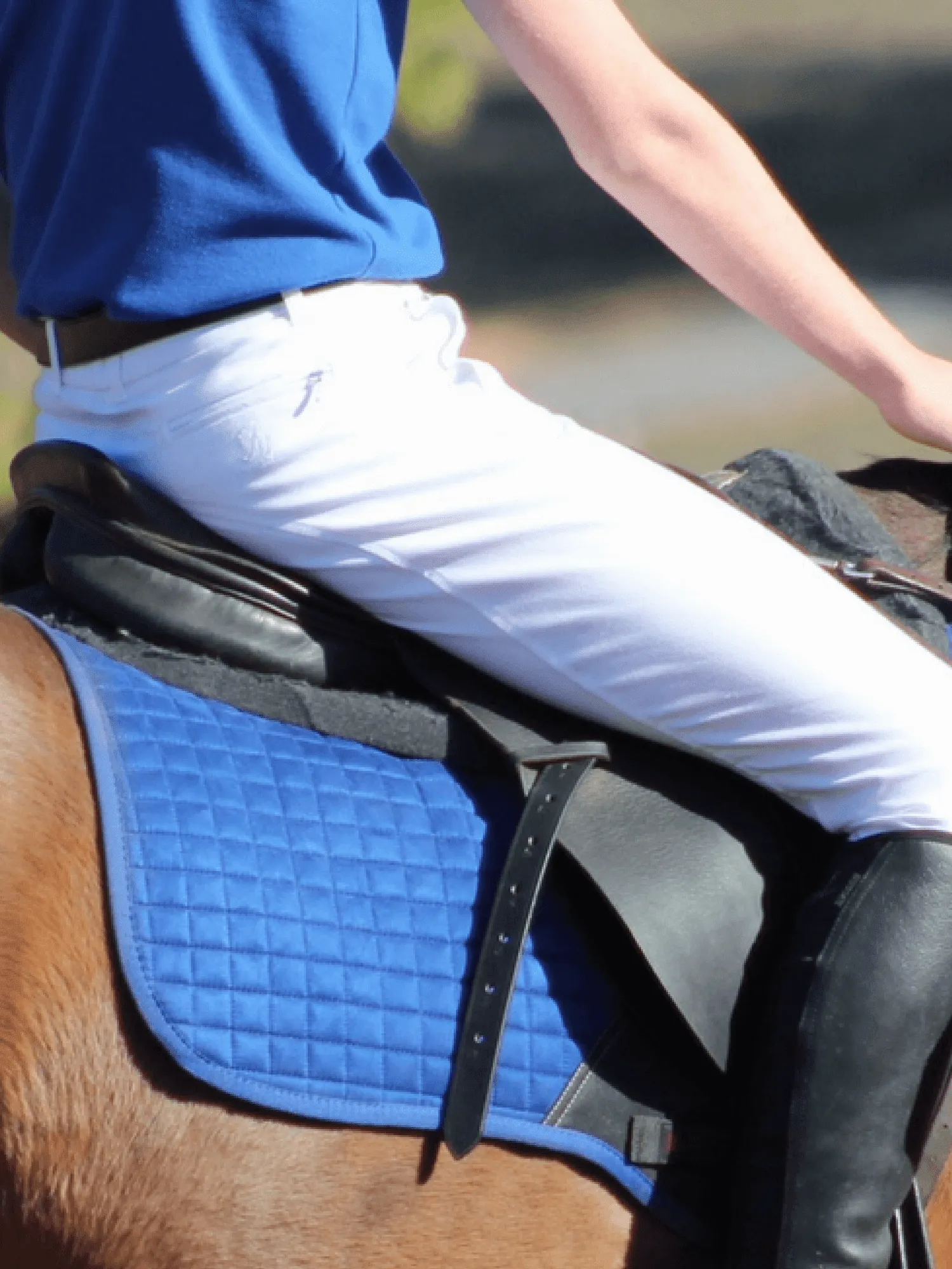 Junior Men's Breeches