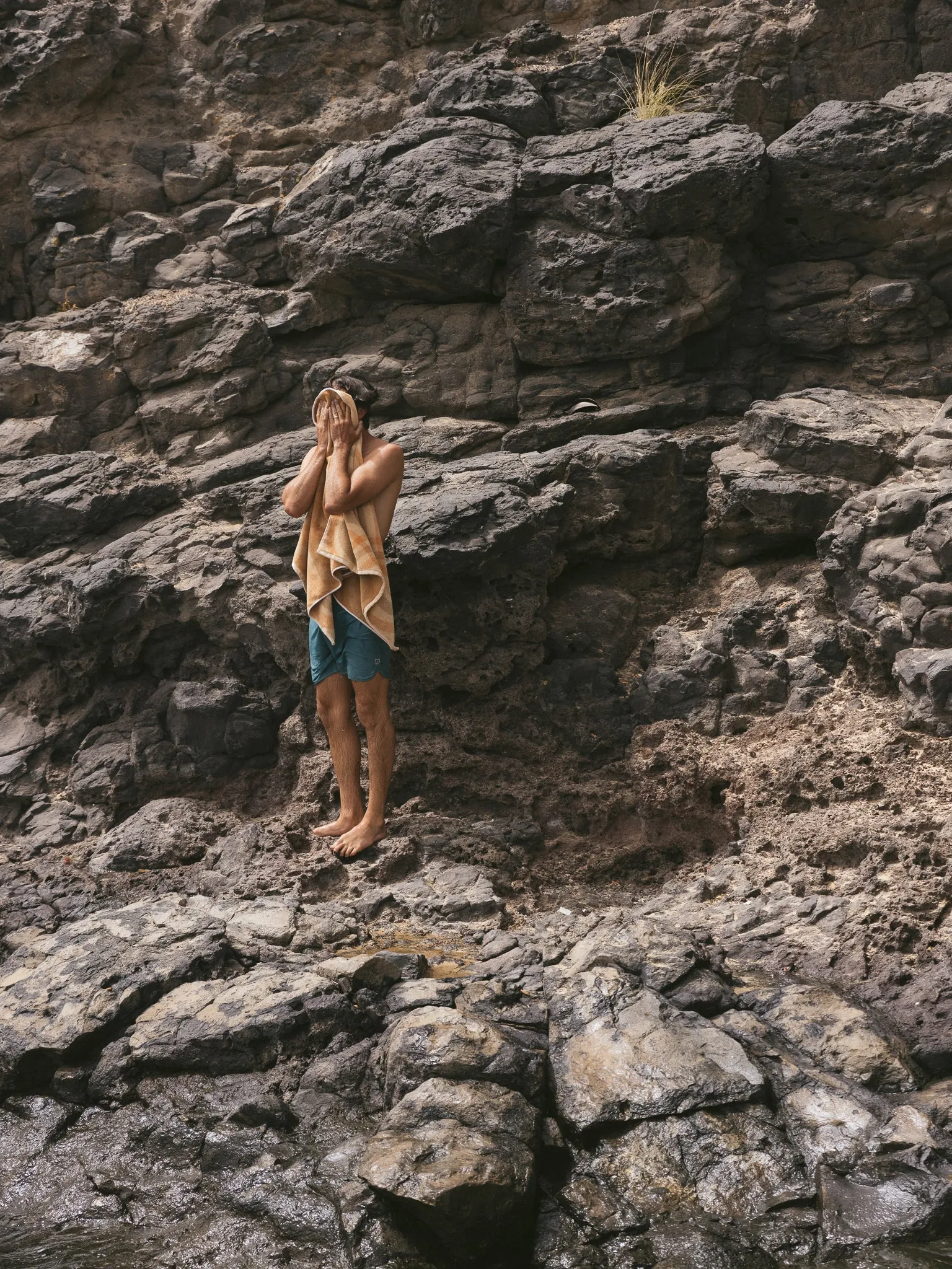 Scallop Trunks