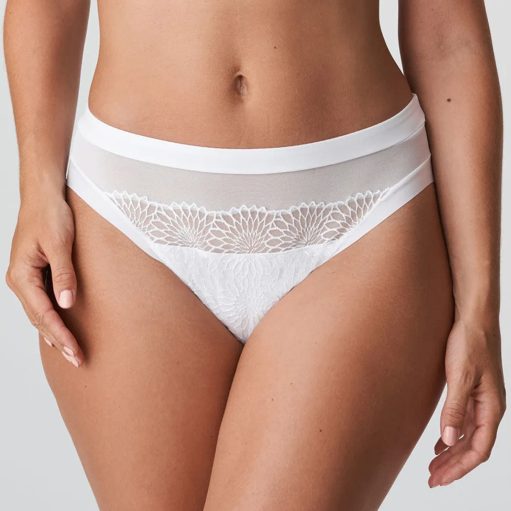 Sophora Rio Brief