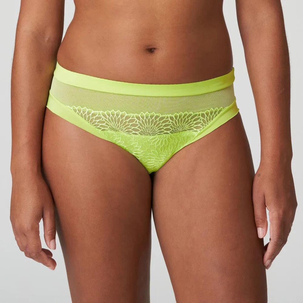 Sophora Rio Brief